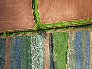 View From Above Devon England Stampe: Top down view over fields from a drone