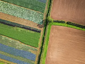 British Countryside Landscape Stampe: Top down view over fields from a drone
