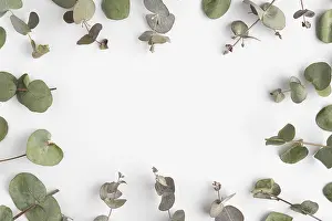 Autumn Leaves Stampe: Top view frame leaves