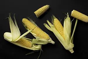 Close Up View From Above Stampe: Top view fresh corn composition