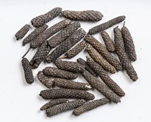 Gray Ceramic Plate Stampe: Top view of java long pepper close up on gray ceramic plate