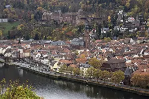 Neckar River Germany Stampe: View from Philsophenweg to Neckar