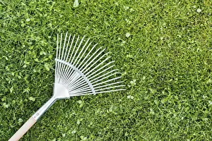 View From Above Farmyard Stampe: Top view rake grass