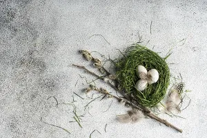 Easter Setting Stampe: Top view of a rustic Easter setting featuring a nest made of fresh green grass