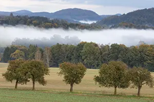 Central Europe Nature Reserves Stampe: View towards the Schrammsteien