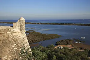 Deserted Castle View Stampe: View of the shell fields from the fortress