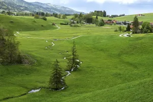 Uninhabited Creek Scene Stampe: View of small stream and meadows