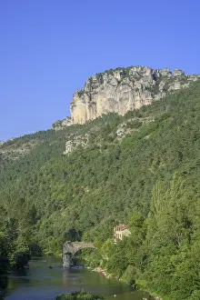 Lozere Department Scenery Stampe: View of Tarn river with old bridge