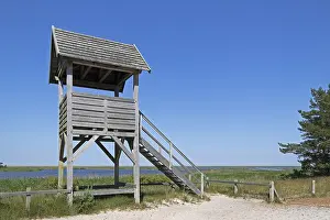 Deserted Viewing Platform Stampe: Viewing platform, duck platform