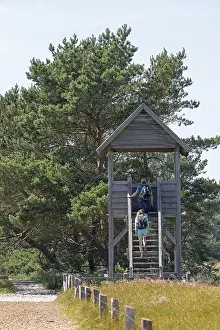 Viewing Platform Germany Stampe: Viewing platform, duck platform