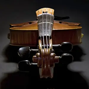 Musical Instrument Photography Stampe: Violin