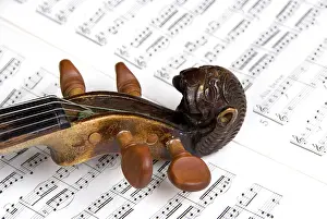 String Instrument Stampe: Violin