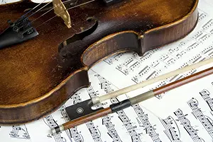 String Instrument Stampe: Violin