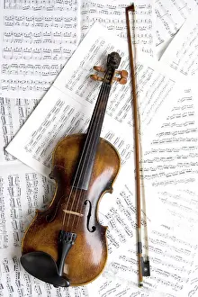 String Instrument Stampe: Violin