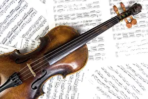 String Instrument Stampe: Violin
