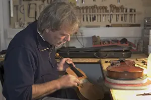 Musical Instrument Maker Stampe: Violin-maker is reparing a violin