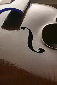Classical Music Instrument Stampe: Violin without strings