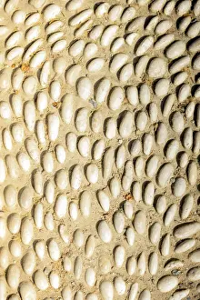 Grunge Background Image Stampe: Wall surface as a simple grunge background texture pattern