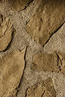 Grunge Wall Texture Stampe: Wall surface as a simple grunge background texture pattern