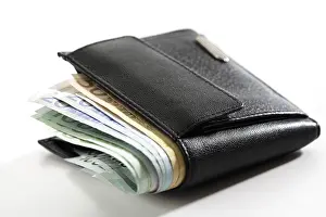 Save Money Finance Tips Stampe: Wallet with notes