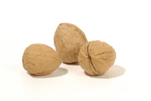 Close Up Walnuts Stampe: Walnuts