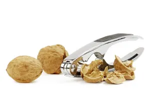 Walnut Nutrition Stampe: Walnuts with cracker on the white