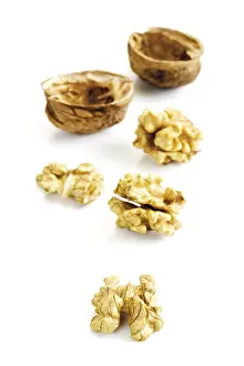 Walnut Photography Stampe: Walnuts and shells