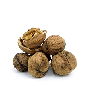 Deserted Walnut Scene Stampe: Walnuts on white background