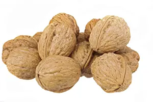 Close View Of Walnuts Stampe: Walnuts on white background