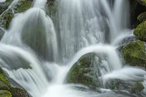Springtime Water Currents Stampe: Waterfall on a mountain stream in spring