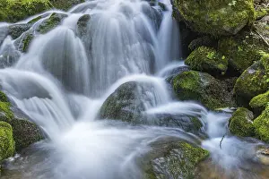 Deserted Creek Scene Stampe: Waterfall on a mountain stream in spring