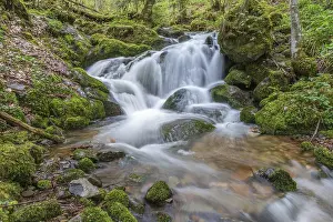 Vosges Mountains Waterfall Stampe: Waterfall on a mountain stream in spring