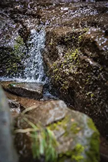 Black Forest Waterfall Stampe: Waterfall of a small stream in the forest