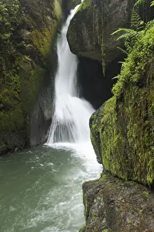 Moss Covered Waterfall Stampe: Waterfall at the source of Rio Savegre