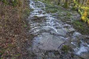 Central Europe River Landscape Stampe: Waterfall of a stream in spring