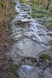 Bavaria Waterfalls Stampe: Waterfall of a stream in spring