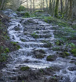 Bavaria Waterfall Stampe: Waterfall of a stream in spring