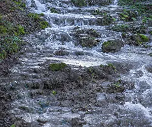 Southern Germany River Scene Stampe: Waterfall of a stream in spring