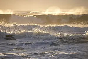 Natural Spectacle Photography Stampe: Wave action
