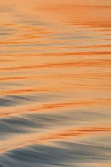 Brahmaputra River Sunset Stampe: Wave pattern on the Brahmaputra river at sunset