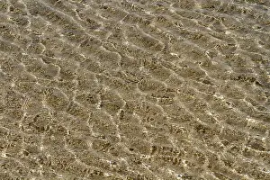 Wavy Structure Design Stampe: Wave pattern in shallow water, beach