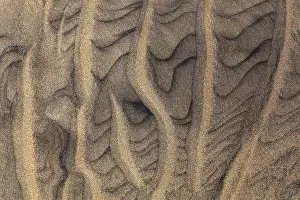 Deserted Sandy Coast Stampe: Wave pattern, structures in the sand on the sandy beach