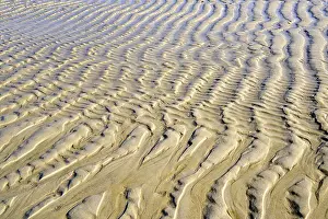 Sandy Beach Texture Stampe: Wave structure in the sand at low tide