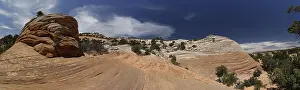 Eroded Sandstone Landscape USA Stampe: Wave, wave-like sandstone formations