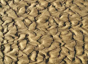 Textured Sandy Surface Stampe: Wavy pattern in the sand of beach