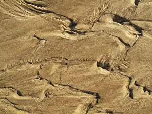 Wavy Sand Pattern Stampe: Wavy pattern in the sand of beach