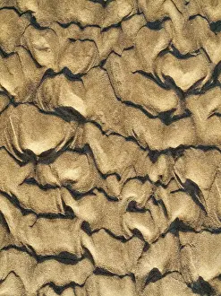 Wavy Sand Pattern Stampe: Wavy pattern in the sand of beach