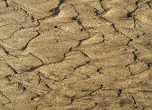 Wavy Sand Pattern Stampe: Wavy pattern in the sand of beach