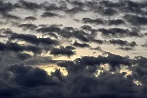 Cloudy Evening Skies Stampe: Weather thunderclouds