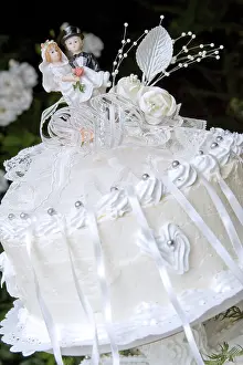 Empty Plate Photoshoots Stampe: Wedding cake